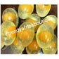 X 3 soap: New Banga: Collagen Egg beauty face soap. 90g x 3 💯 pure collagen